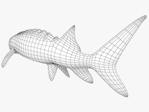 sturgeon 3d model - Sturgeon by 3dsam79