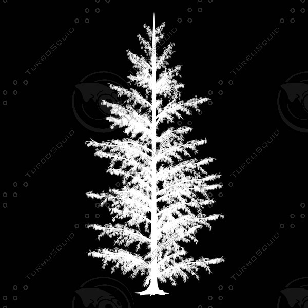 3d conifer tree model - Conifer Tree by yaschan