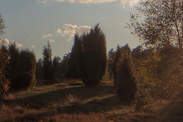 Meadow HDR Collection sIBL