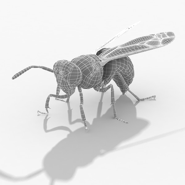 wasp flying bugs 3d model - Wasp by HD_Ready