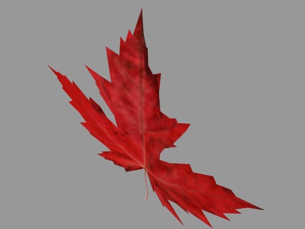 3ds maple leaf - Maple leaf by zelda4evr