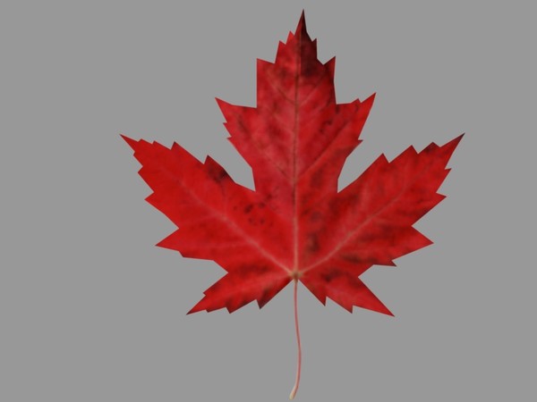 3ds maple leaf - Maple leaf by zelda4evr