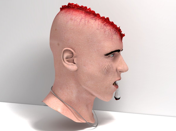 3d head joint - Man with severe Headwound or Headshot by scyrus