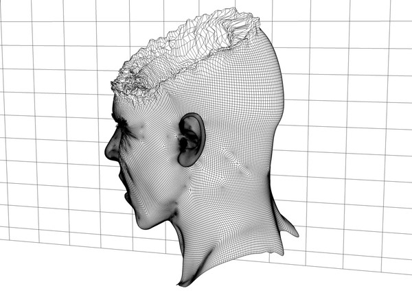 3d head joint - Man with severe Headwound or Headshot by scyrus