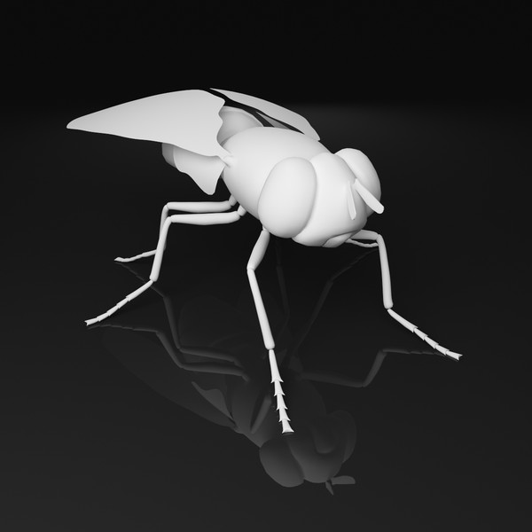 fly bug housefly 3d model - Fly by 3dShed