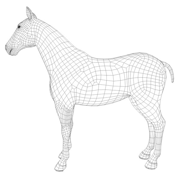 horse animal 3d model - Horse animal by CG ARTStudio