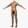 3d model male body