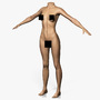 female body 3d model