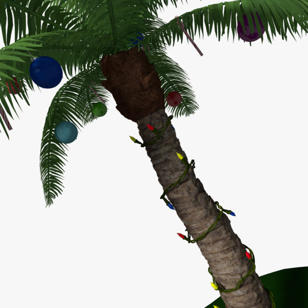 3d christmas palm tree model - Christmas Palm Tree by abramsdesign