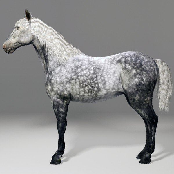 horse animal 3d model - Horse animal by CG ARTStudio