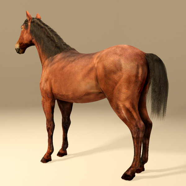 horse animal 3d model - Horse animal by CG ARTStudio