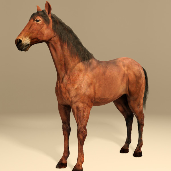 horse animal 3d model - Horse animal by CG ARTStudio