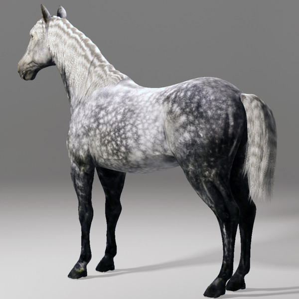 horse animal 3d model - Horse animal by CG ARTStudio
