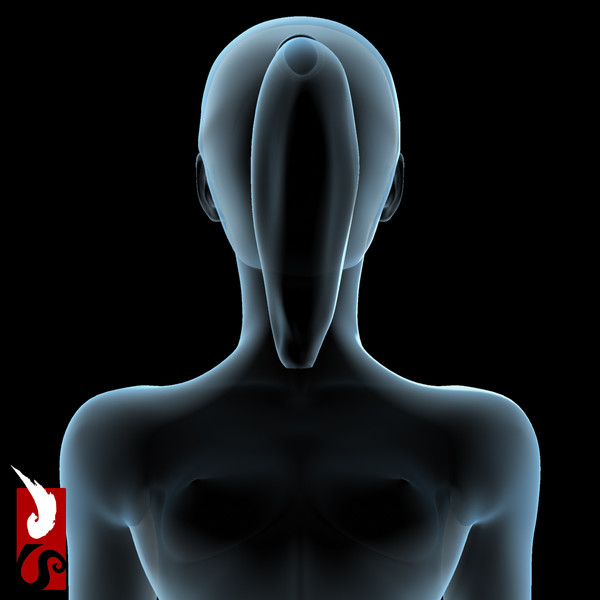 3ds max female anatomy - x-ray - Female Anatomy - X-Ray Integumentary Skin System by IllumeStudio