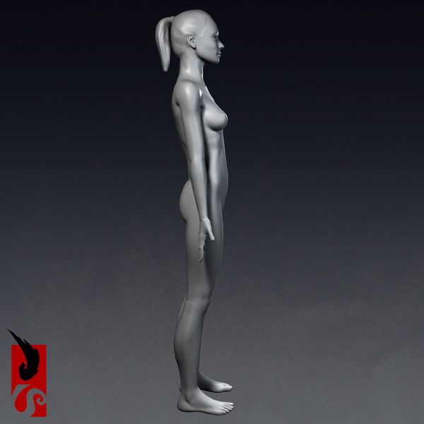 3ds max female anatomy - integumentary - Female Anatomy - Integumentary Skin System by IllumeStudio