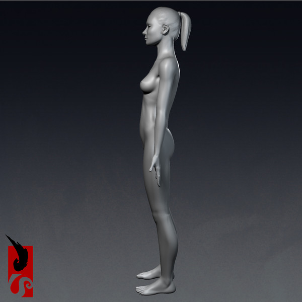 3ds max female anatomy - integumentary - Female Anatomy - Integumentary Skin System by IllumeStudio