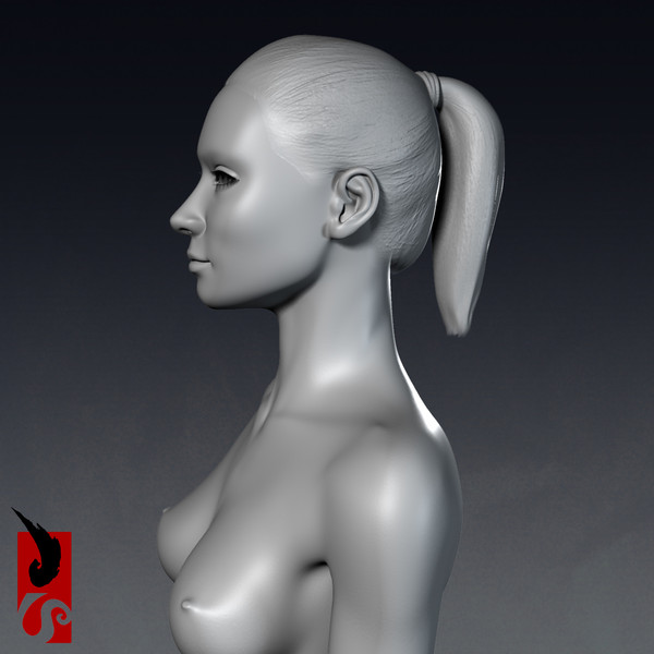 3ds max female anatomy - x-ray - Female Anatomy - X-Ray Integumentary Skin System by IllumeStudio