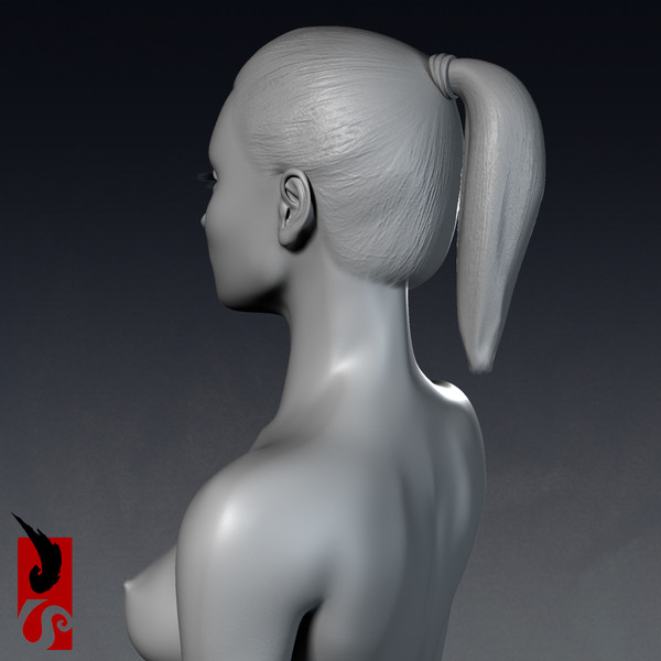 3ds max female anatomy - x-ray - Female Anatomy - X-Ray Integumentary Skin System by IllumeStudio