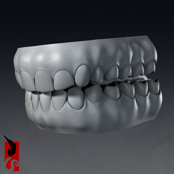 3ds max female anatomy - x-ray - Female Anatomy - X-Ray Integumentary Skin System by IllumeStudio
