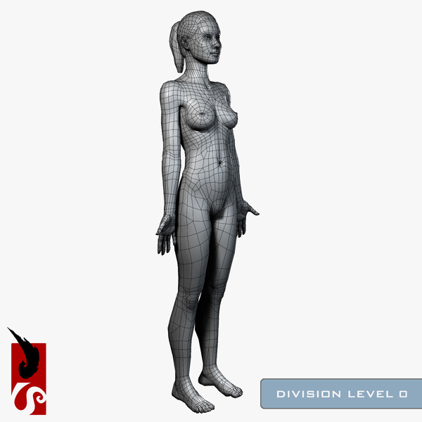3ds max female anatomy - x-ray - Female Anatomy - X-Ray Integumentary Skin System by IllumeStudio