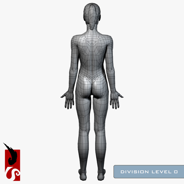3ds max female anatomy - x-ray - Female Anatomy - X-Ray Integumentary Skin System by IllumeStudio