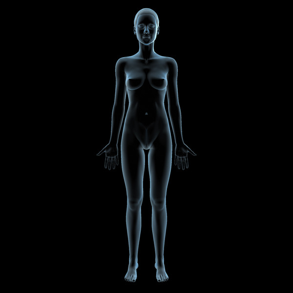 3ds max female anatomy - x-ray - Female Anatomy - X-Ray Integumentary Skin System by IllumeStudio