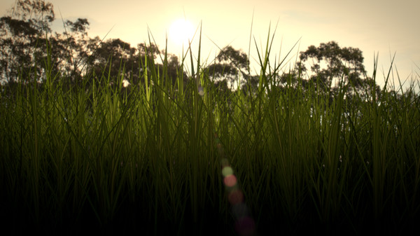 3d model grass - Grass by meerkat1123432