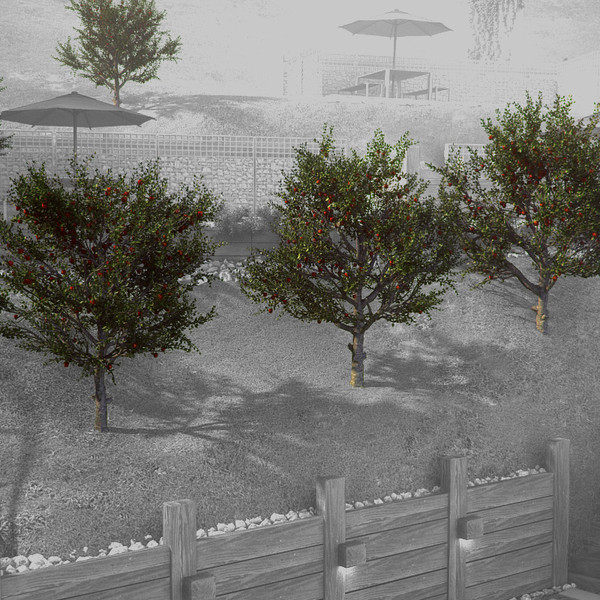 3d apple red tree model - Apple with red apples HiPoly tree by RTEwork