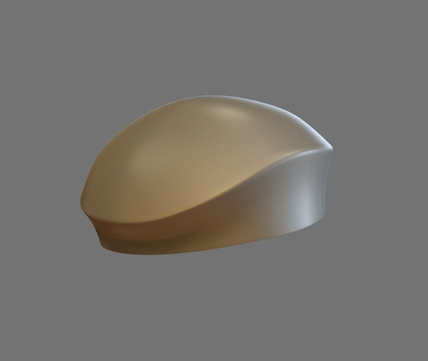 3d military hat model - Military Hat by dentonvanzan