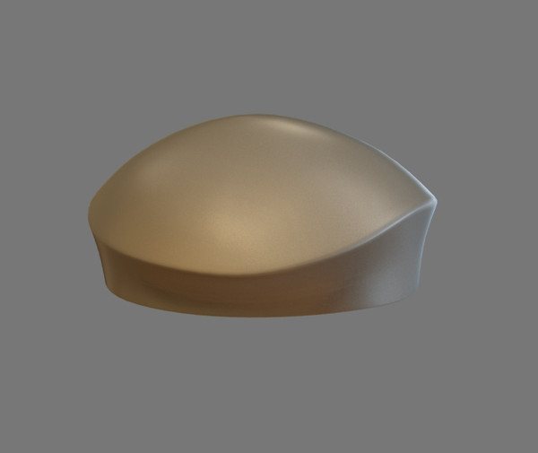 3d military hat model - Military Hat by dentonvanzan