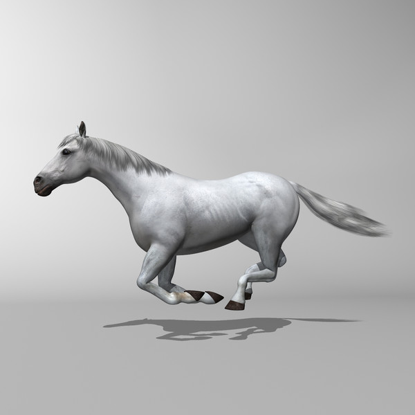3d model of white looped galloping - Horse ( White ) by MotionCow