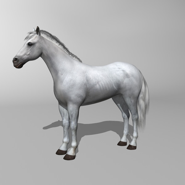 3d model of white looped galloping - Horse ( White ) by MotionCow