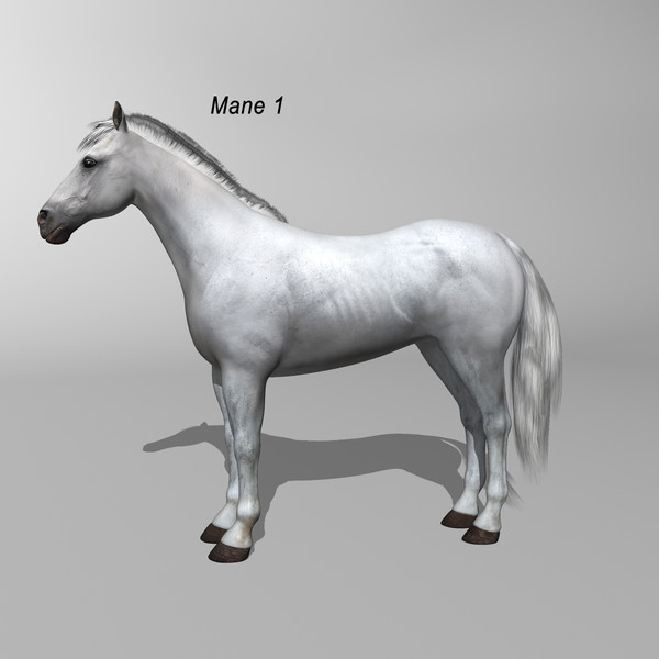 3d model of white looped galloping - Horse ( White ) by MotionCow