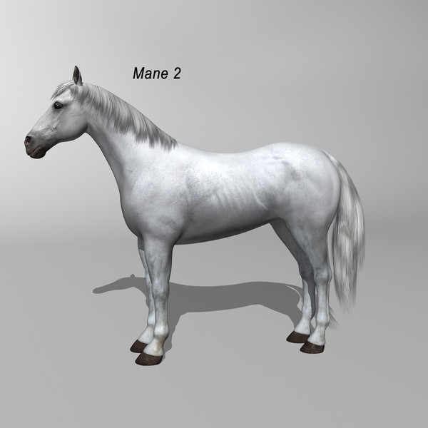 3d model of white looped galloping - Horse ( White ) by MotionCow