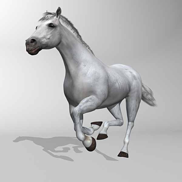 3d model of white looped galloping - Horse ( White ) by MotionCow