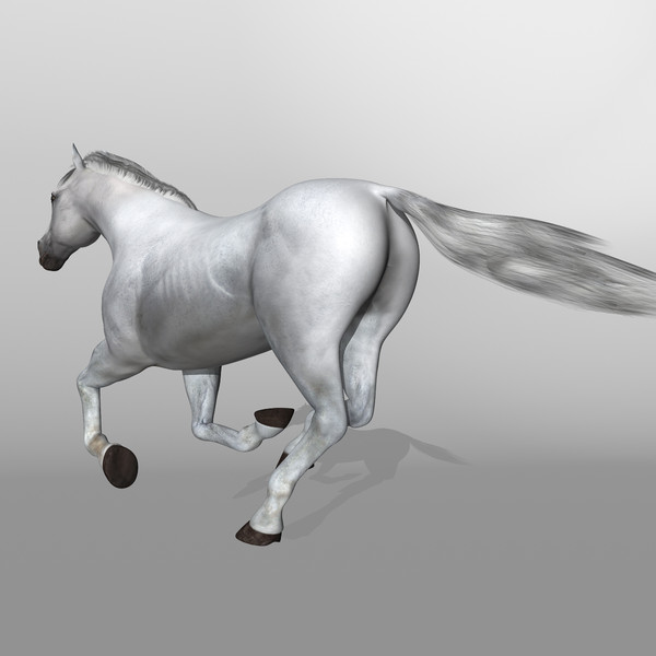 3d model of white looped galloping - Horse ( White ) by MotionCow