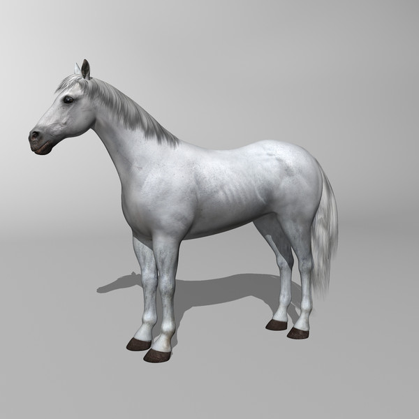 3d model of white looped galloping - Horse ( White ) by MotionCow