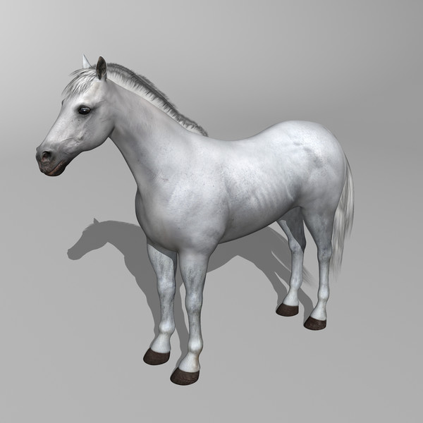 3d model of white looped galloping - Horse ( White ) by MotionCow