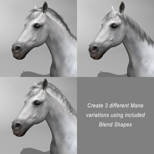 3d model of white looped galloping - Horse ( White ) by MotionCow
