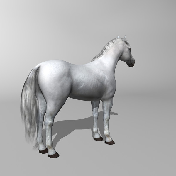 3d model of white looped galloping - Horse ( White ) by MotionCow