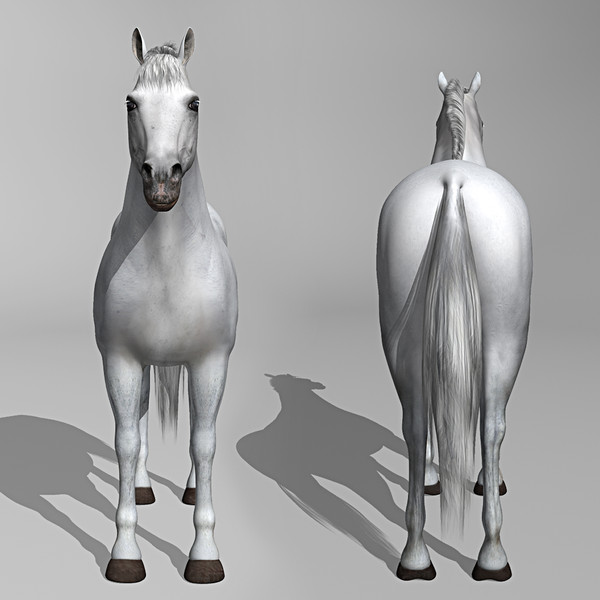 3d model of white looped galloping - Horse ( White ) by MotionCow