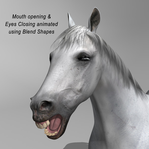 3d model of white looped galloping - Horse ( White ) by MotionCow
