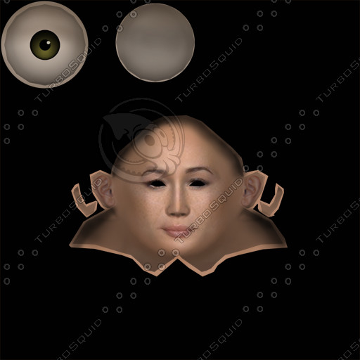 asian woman body 3d model - Asian Woman by indra_p