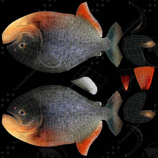 piranha fish obj - piranha fish by denisVFX