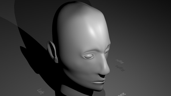 3d young female head model - HI-Poly Female Head by cronixgames