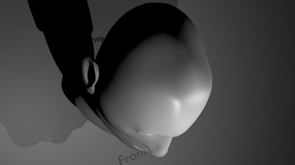 3d young female head model - HI-Poly Female Head by cronixgames
