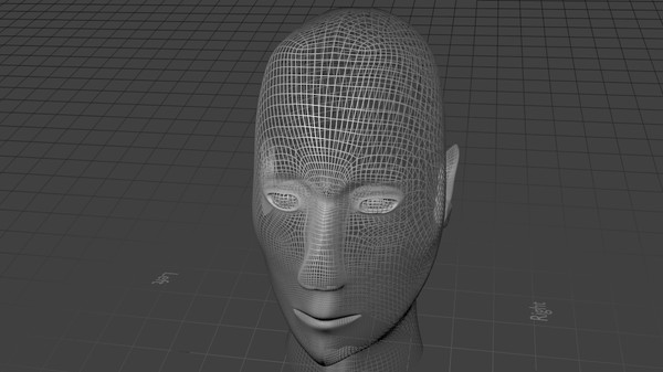 3d young female head model - HI-Poly Female Head by cronixgames