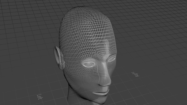 3d young female head model - HI-Poly Female Head by cronixgames