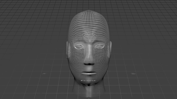 3d young female head model - HI-Poly Female Head by cronixgames