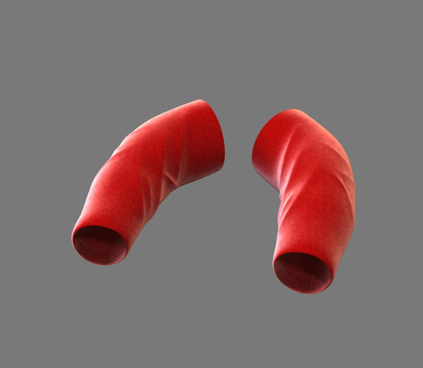 3d max cloth - Arm by dentonvanzan